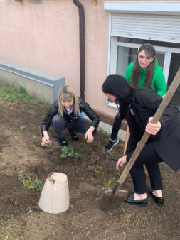 9 апреля День древонасаждения