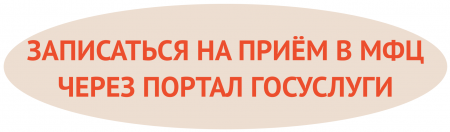 Запись на прием в МФЦ Ростовской области через портал Госуслуг