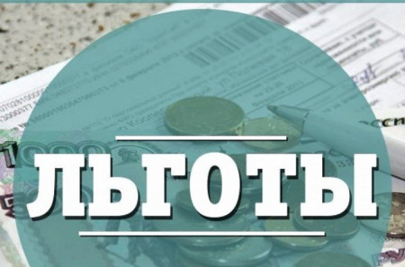 Подать заявление о льготах по транспортному и земельному налогам организациям рекомендуется до 1 апреля 2024 года