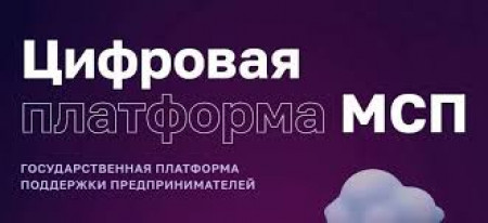 Цифровая платформа МСП.РФ