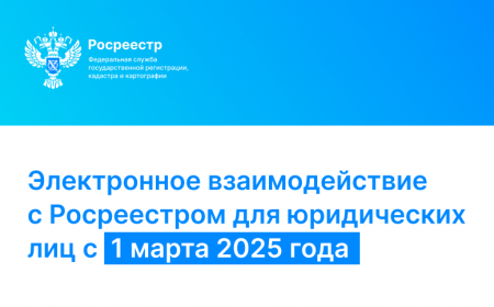 Электронное взаимодействие с Росреестром с 01.03.2025