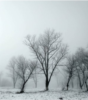 Временно приостановлен прием в МФЦ в х.Ленина, ст.Ольгинская, х.Верхнеподпольном, п.Дорожный.